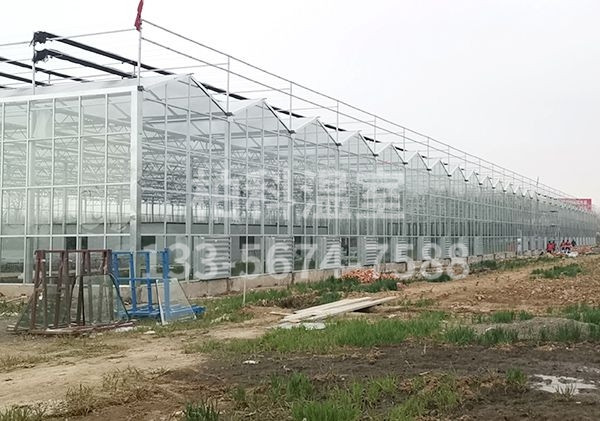 small4_15864812378156324