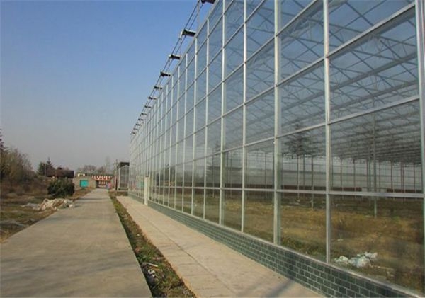 山東溫室大棚廠家