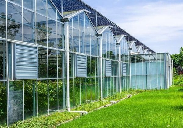 山東玻璃溫室廠家