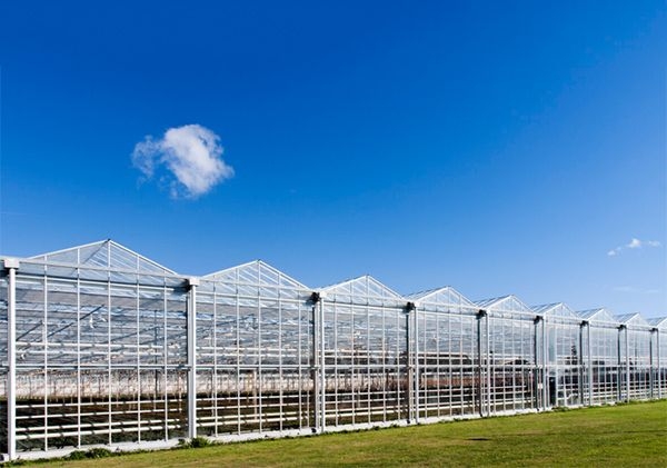山東溫室大棚廠家
